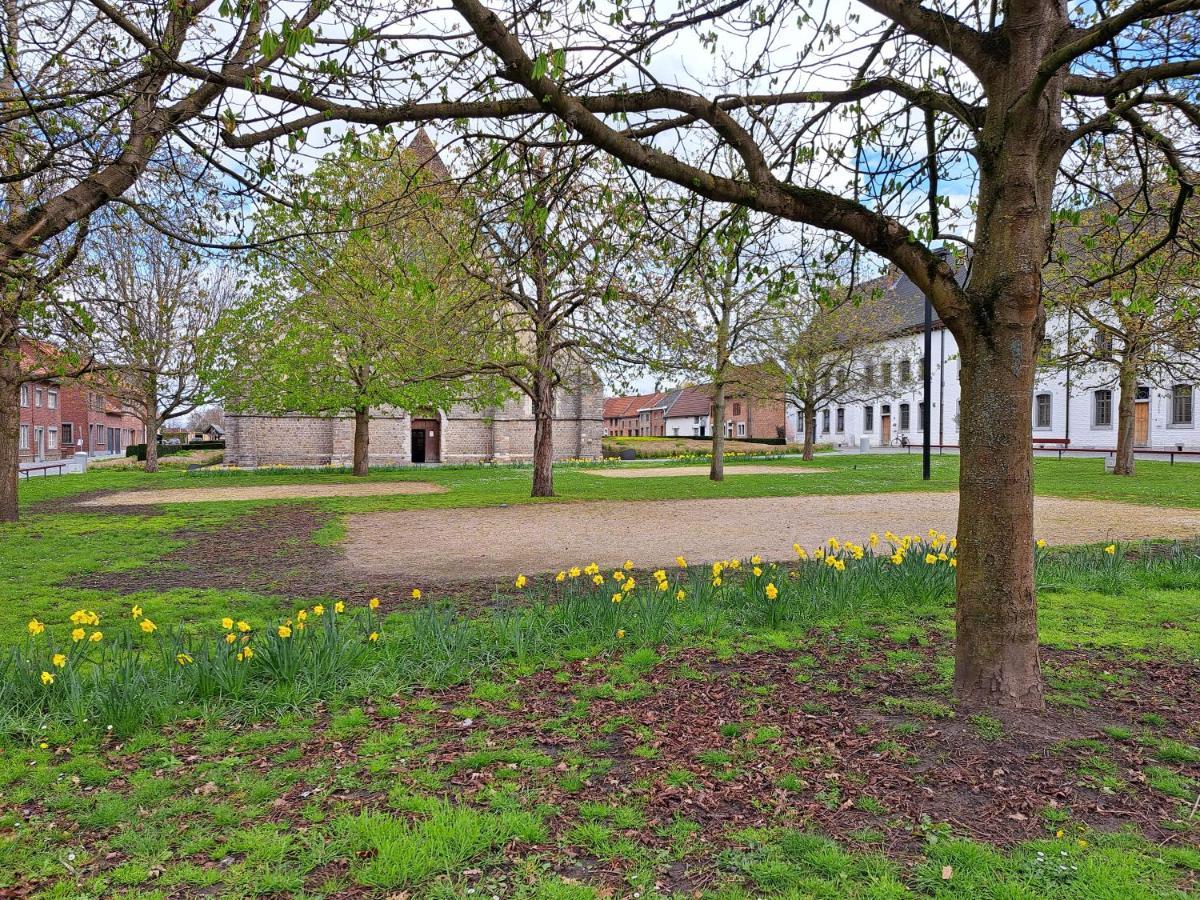Villa Begijnhof 54 Sint-Truiden Exterior foto